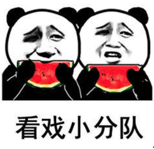 吃瓜表情包的含义,揭秘网络表情包背后的社会现象